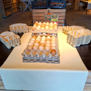 Frische Eier in Eierpappen auf dem Verkaufstisch im Hofladen Vogelfängerkaten.